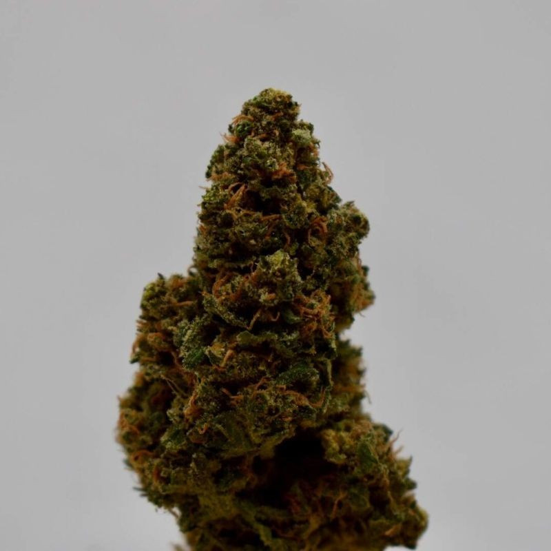 nasiona marihuany Sour Betty