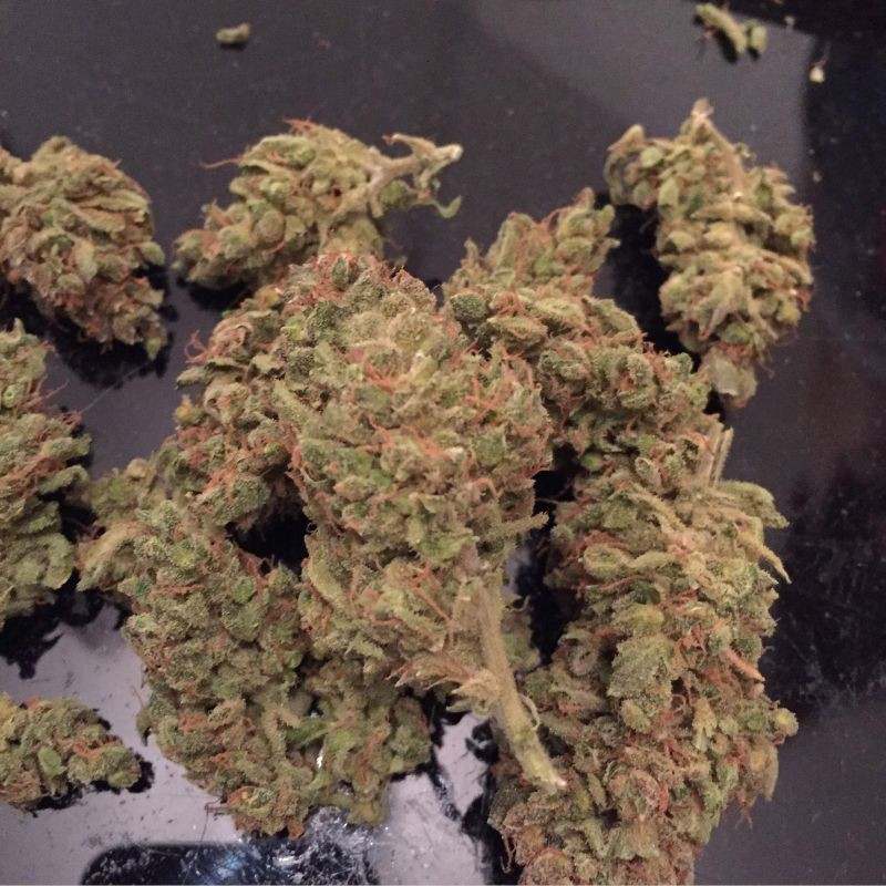 nasiona marihuany Tangerine Dream