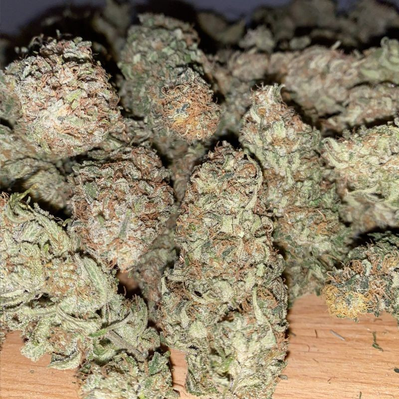 nasiona marihuany Skywalker Haze