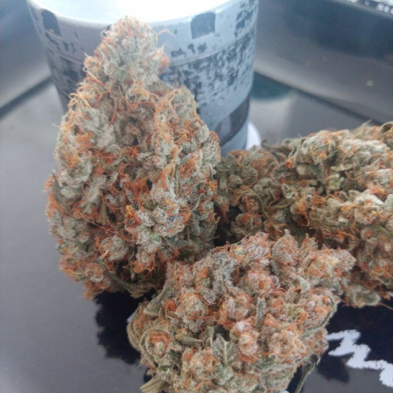 nasiona marihuany Franco's Lemon Cheese