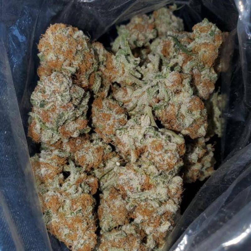 nasiona marihuany Cookies Chill CBD 2:1