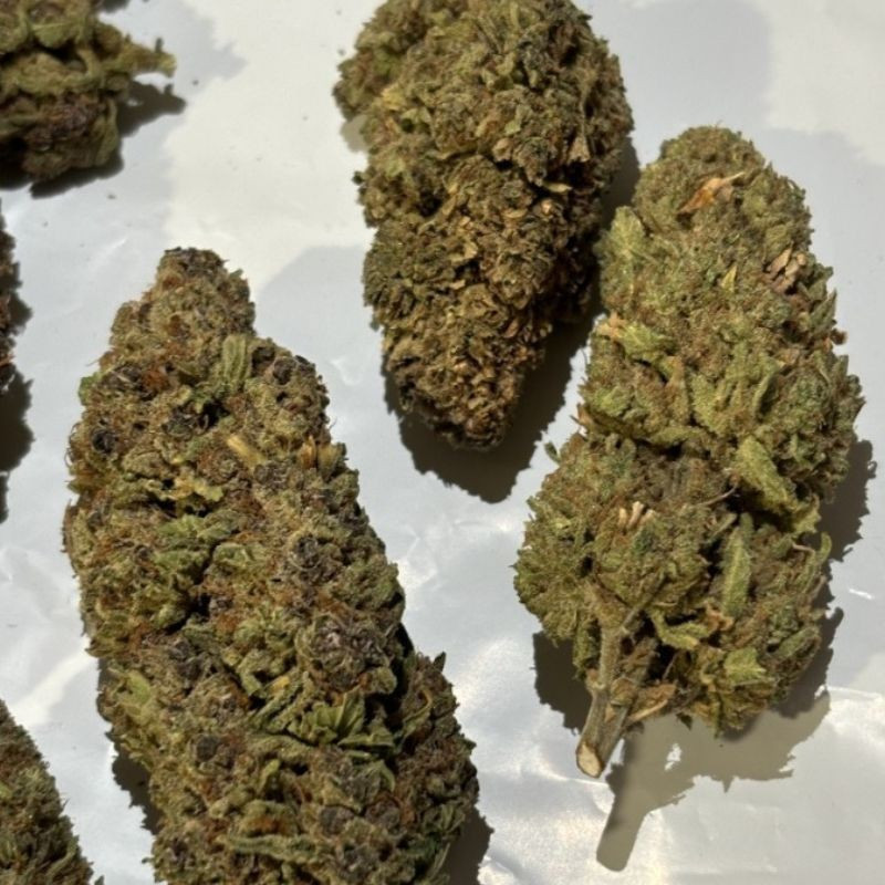 nasiona marihuany Honey Peach Auto CBD
