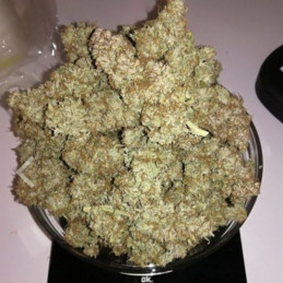 nasiona marihuany S.A.D. Sweet Afgani Delicious S1