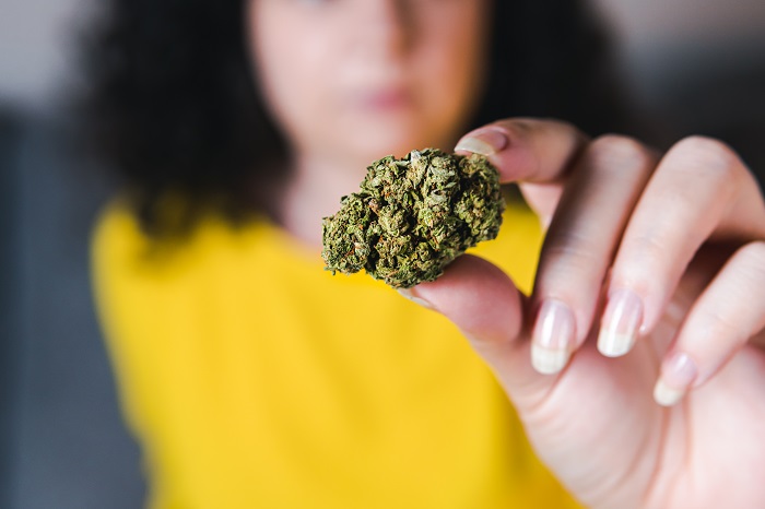 cannabisoogst