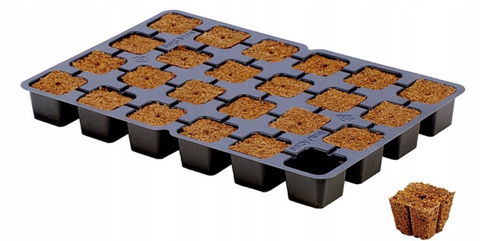 ontkieming van cannabiszaden