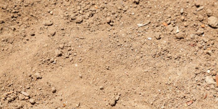 bedste jord til marihuana