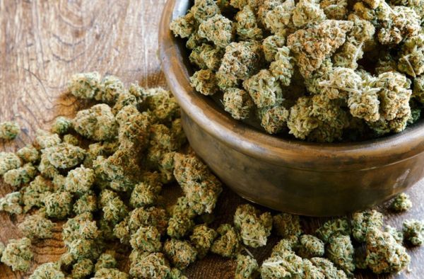 hvordan man tørrer cannabis