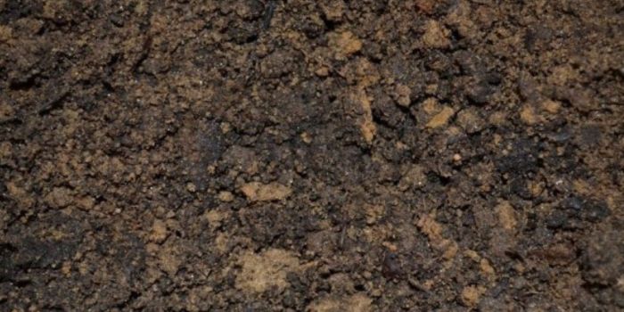 jordblanding til marihuana