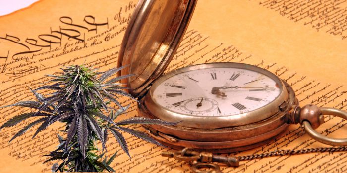 LST-træning af marihuana