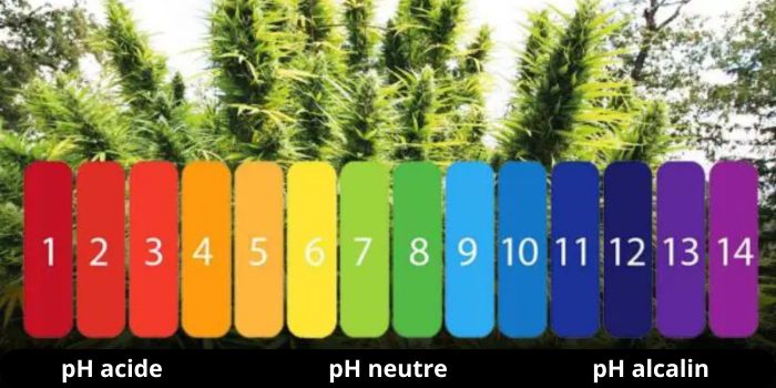 la carence et l'excès de nutriments