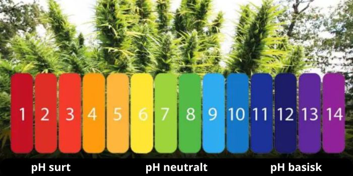 Overskud og mangel på næringsstoffer