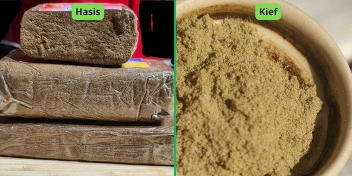 A hasis és a kief közötti különbségek