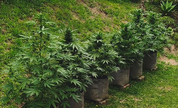 Automatiske outdoor fotorelation