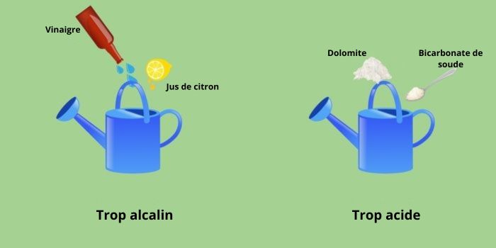Comment ajuster le pH du cannabis en sol et en hydroponie