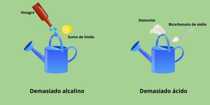 Como ajustar o pH da canábis no solo e na hidroponia