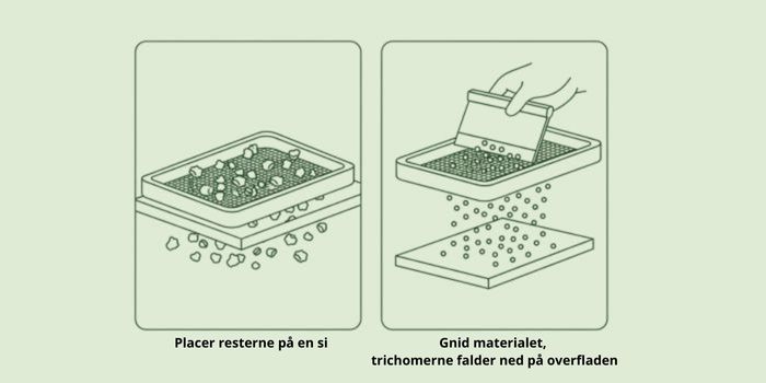 Flad sigtning af hash (tør-sigtning)