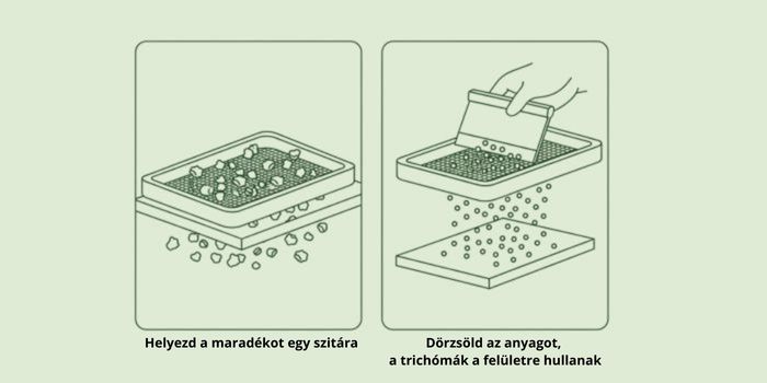 Hasis síkfelületen történő szitálása (száraz szitálás)