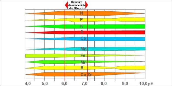 Plage de pH 6,0–7,0 — flexibilité et équilibre dans la culture en sol