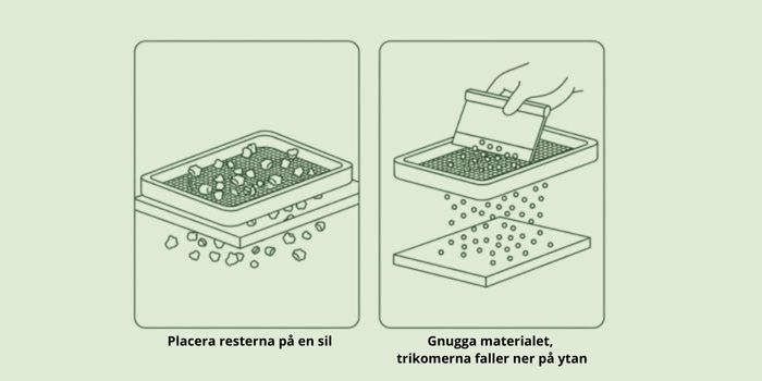 Platt siktning av hasch (torrsiktning)
