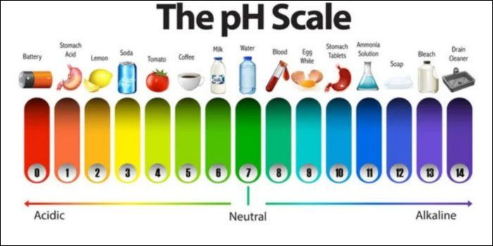 pH:s inverkan på växternas upptag av näringsämnen