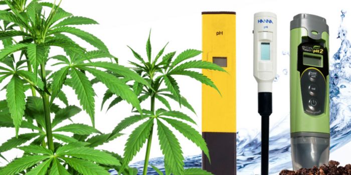 ph mätare för cannabis