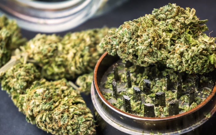 priserne på cannabis i Holland