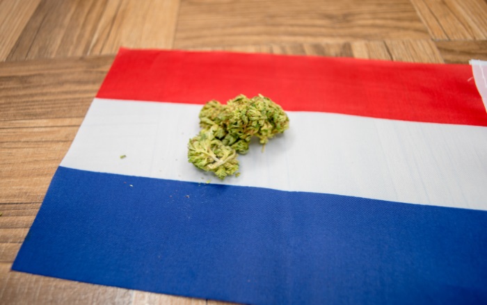 priserne på cannabis i Holland