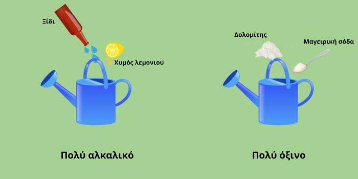 Πώς να ρυθμίσεις το pH της κάνναβης σε έδαφος και υδροπονία