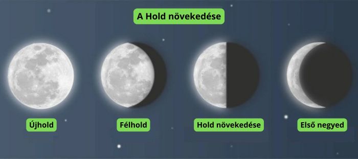 Kannabisz termesztése a Holdfázisoknak megfelelően