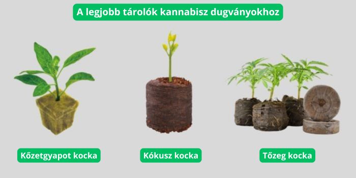 Talaj a kannabisz palántákhoz