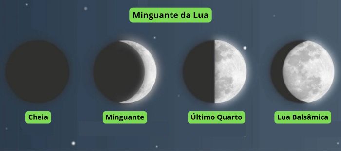 a lua no cultivo de cannabis