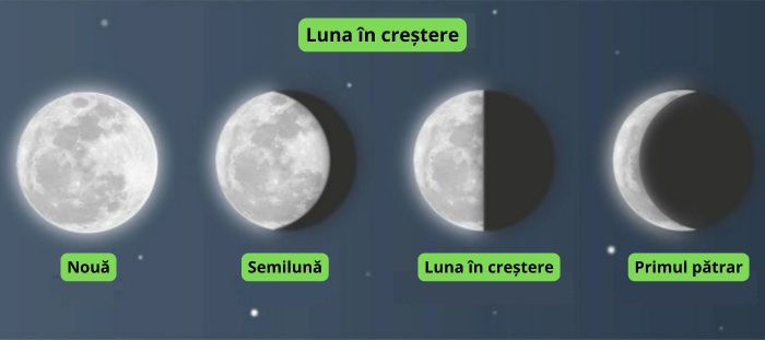 cultivarea cannabisului conform fazelor lunii