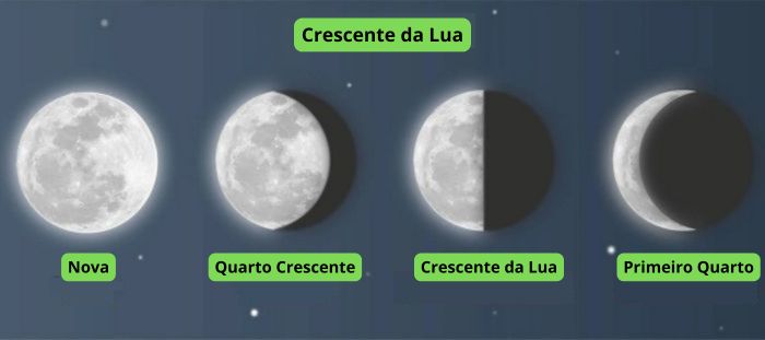 cultivo de cannabis em conformidade com as fases da lua