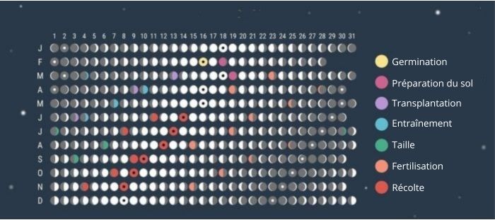 culture du cannabis et phase de la lune