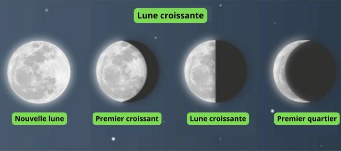 culture du cannabis selon les phases de la lune