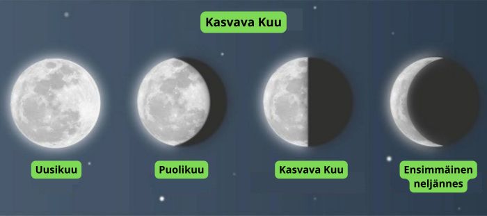 kannabiksen viljely kuun vaiheiden mukaisesti