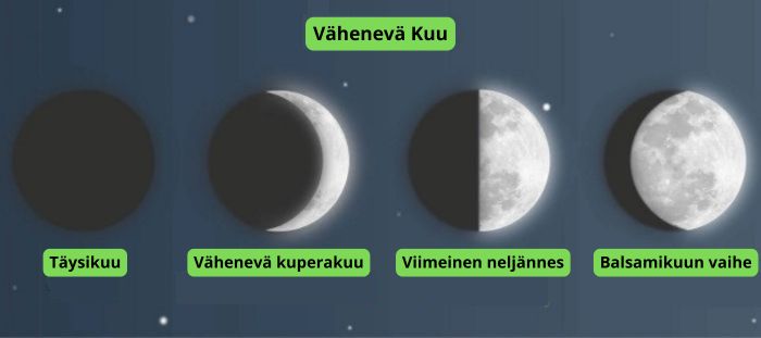 kuu kannabiksen viljelyssä