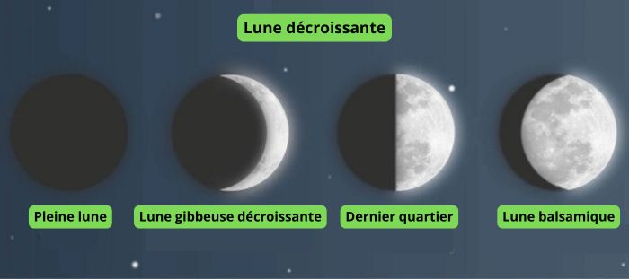 la lune dans la culture du cannabis
