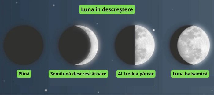 luna în cultivarea cannabisului