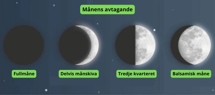 månen i cannabisodling