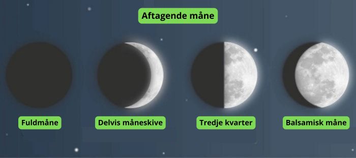 månen i dyrkning af cannabis