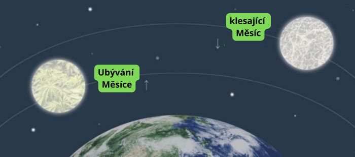pěstování marihuany v souladu s fázemi měsíce