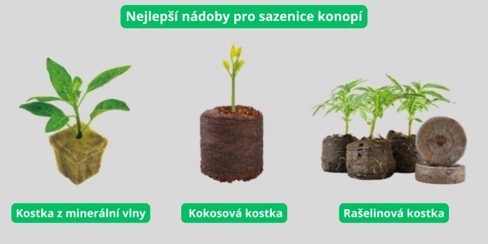substrát pro sazenice marihuany