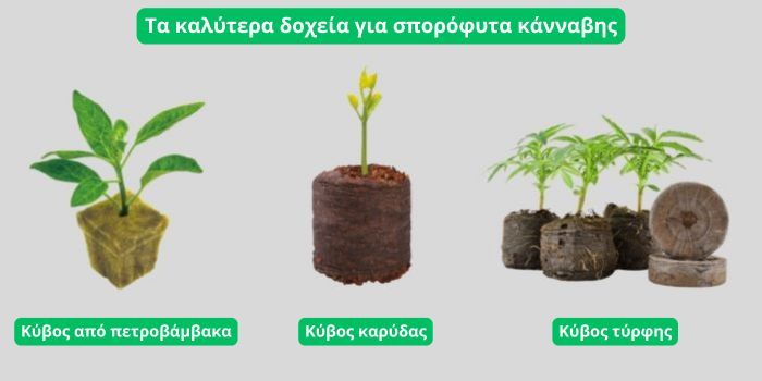 Υπόστρωμα για σπορόφυτα κάνναβης