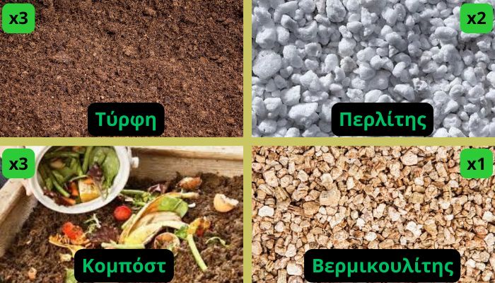 καλύτερο έδαφος για αυτόματες ποικιλίες κάνναβης